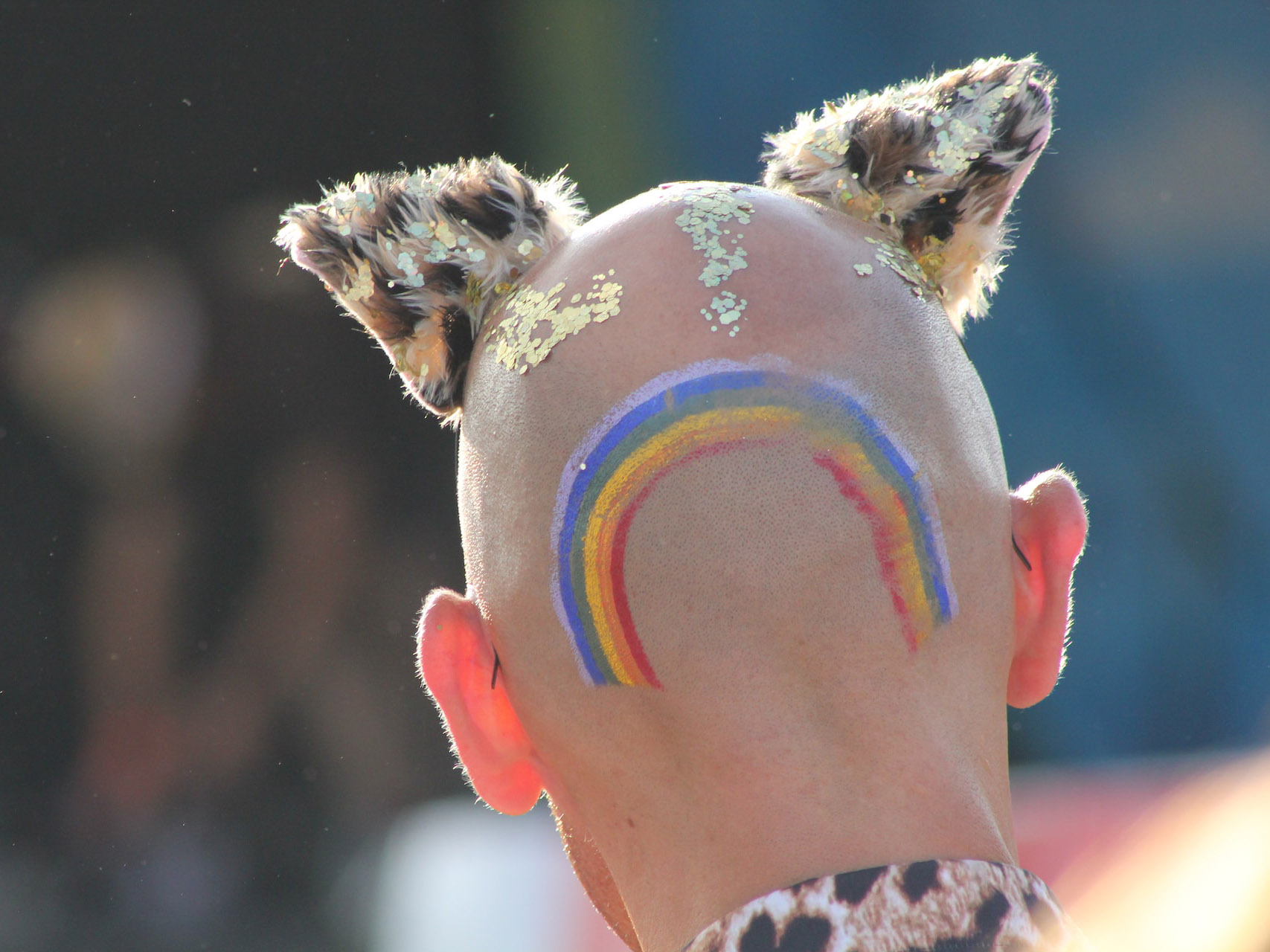 探究木门行业的非线性营销与线性营销